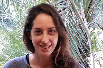 תום ליפשיץ